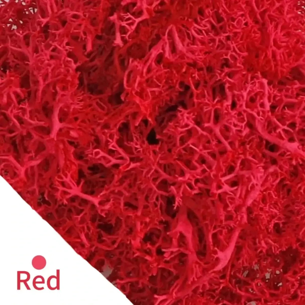 Artificial Green Plants Eternal Life Moss DIY Crafts