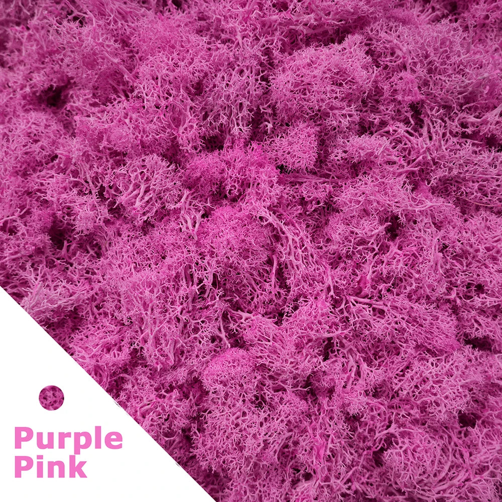 Artificial Green Plants Mini Landscape Eternal Life Moss Grass