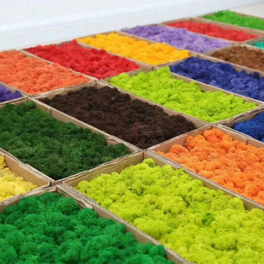 Artificial Green Plants Mini Landscape Eternal Life Moss Grass