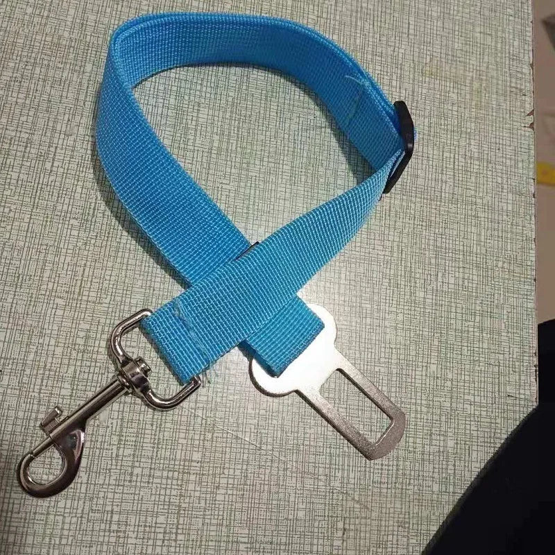 49780678656294