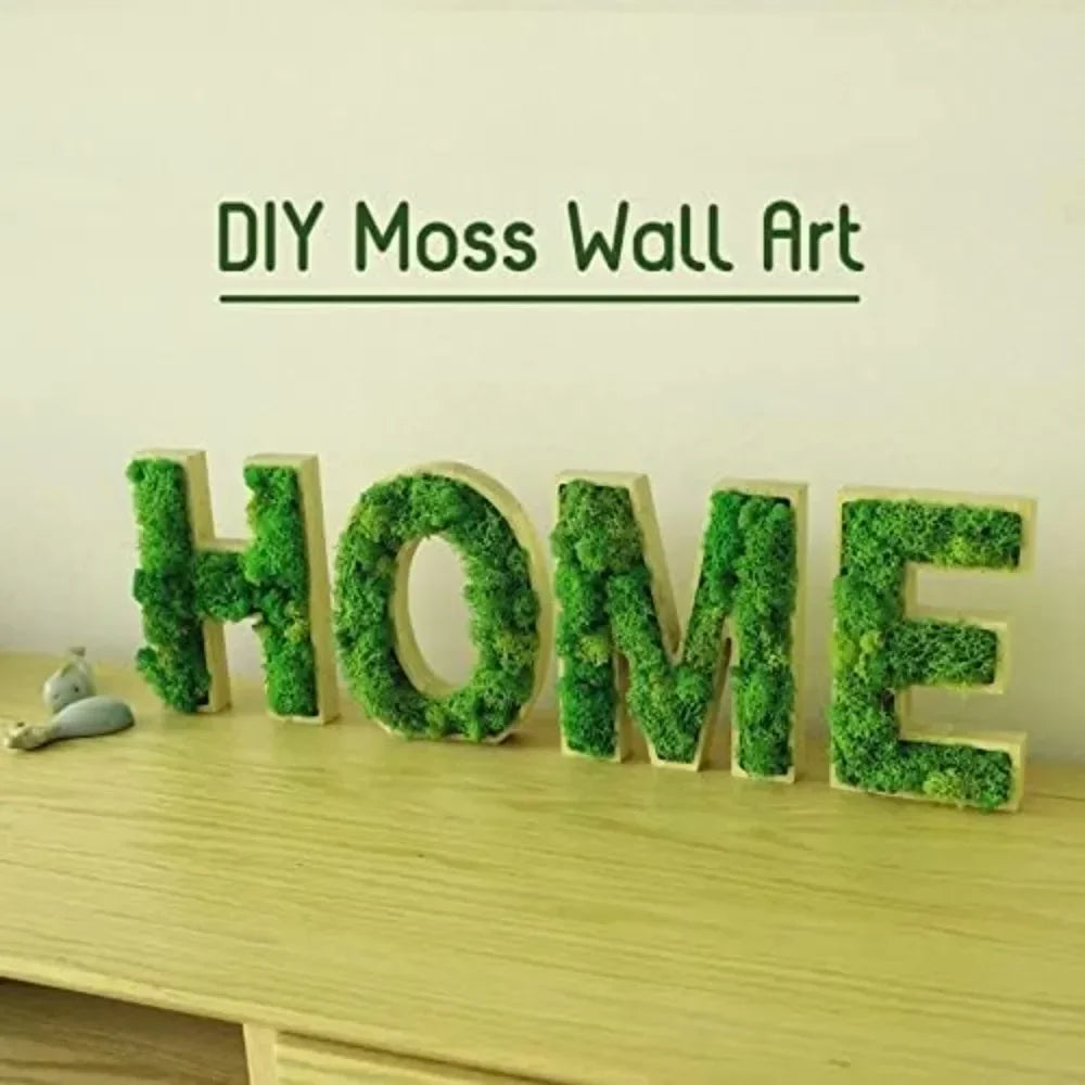 60/300g/Pack Preserved Reindeer Moss Green DIY Kit Gardenning Art Wall Decor