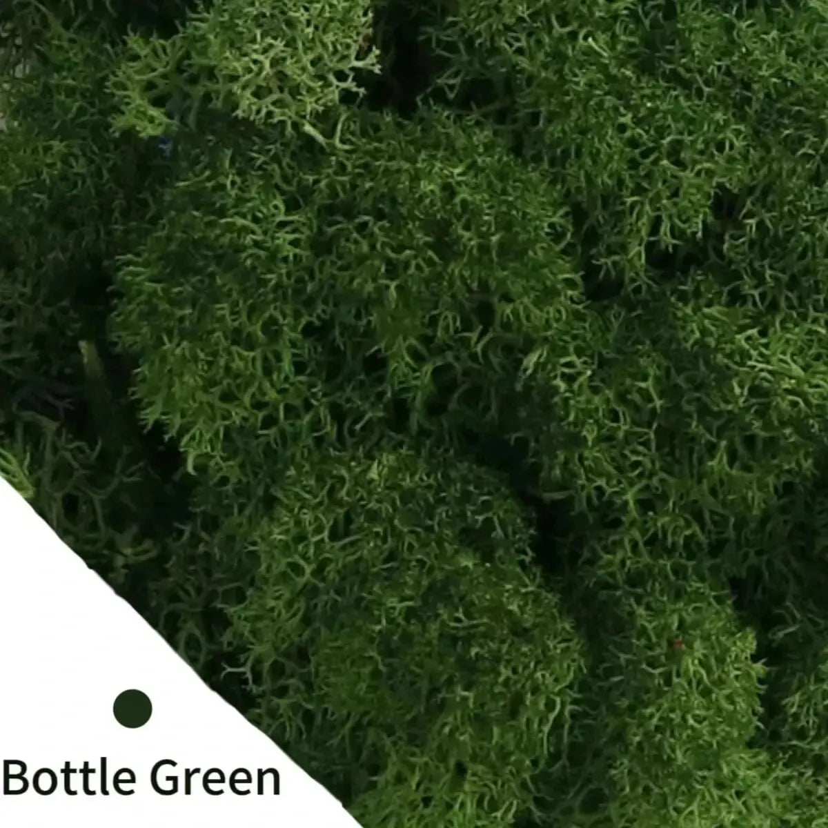Artificial Green Plants Eternal Life Moss DIY Crafts