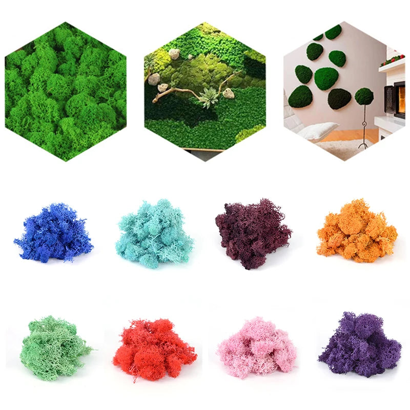20g 40g Quality Artificial Moss Immortal Moss Simulation Green Plant