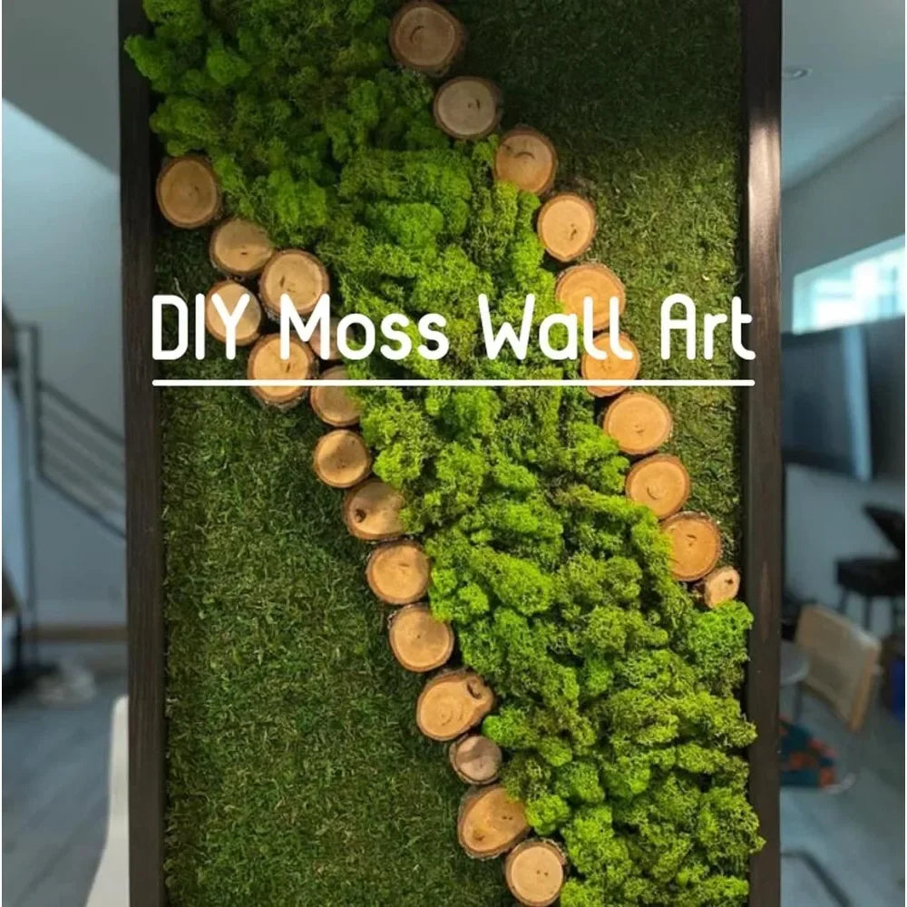 60/300g/Pack Preserved Reindeer Moss Green DIY Kit Gardenning Art Wall Decor
