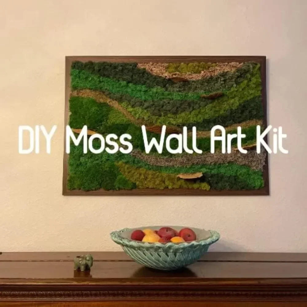 60/300g/Pack Preserved Reindeer Moss Green DIY Kit Gardenning Art Wall Decor