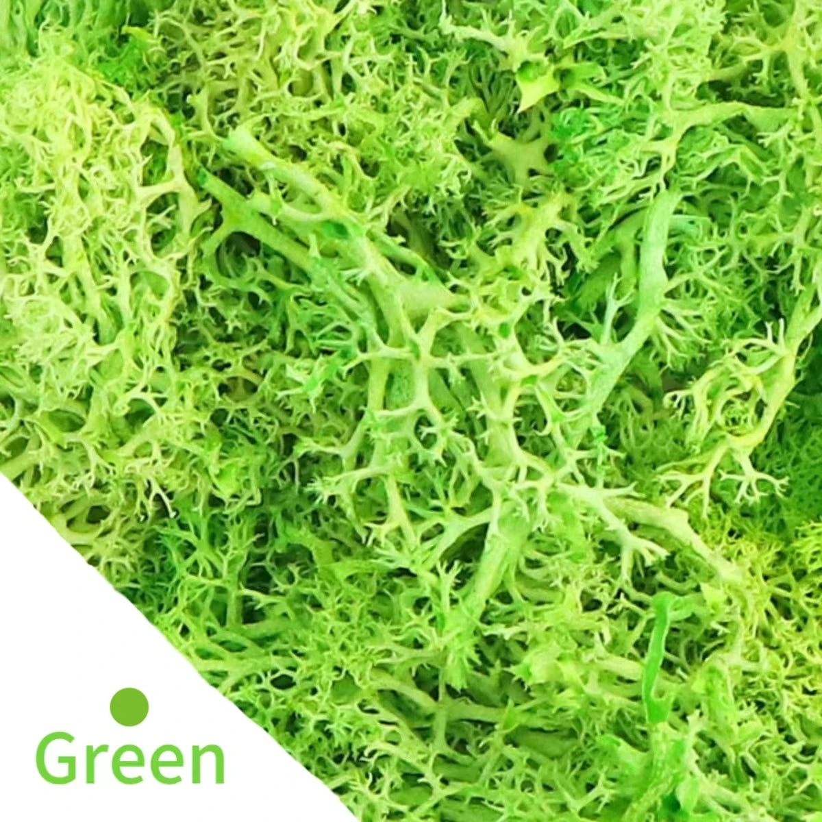 Artificial Green Plants Fake Grass Eternal Life Moss Grassfor Home Living