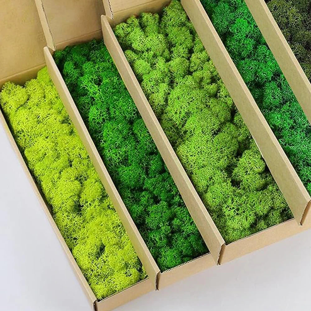 Artificial Green Plants Fake Grass Eternal Life Moss Grassfor Home Living