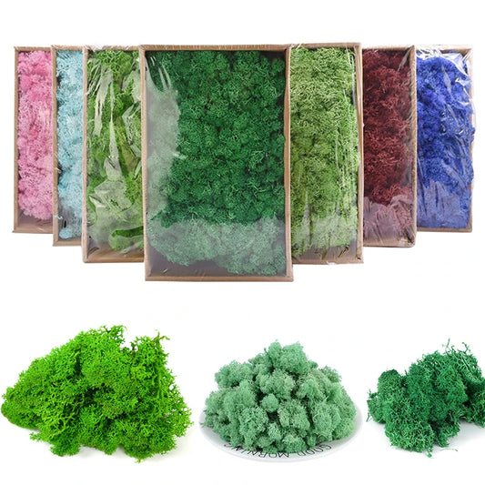 20g 40g Quality Artificial Moss Immortal Moss Simulation Green Plant