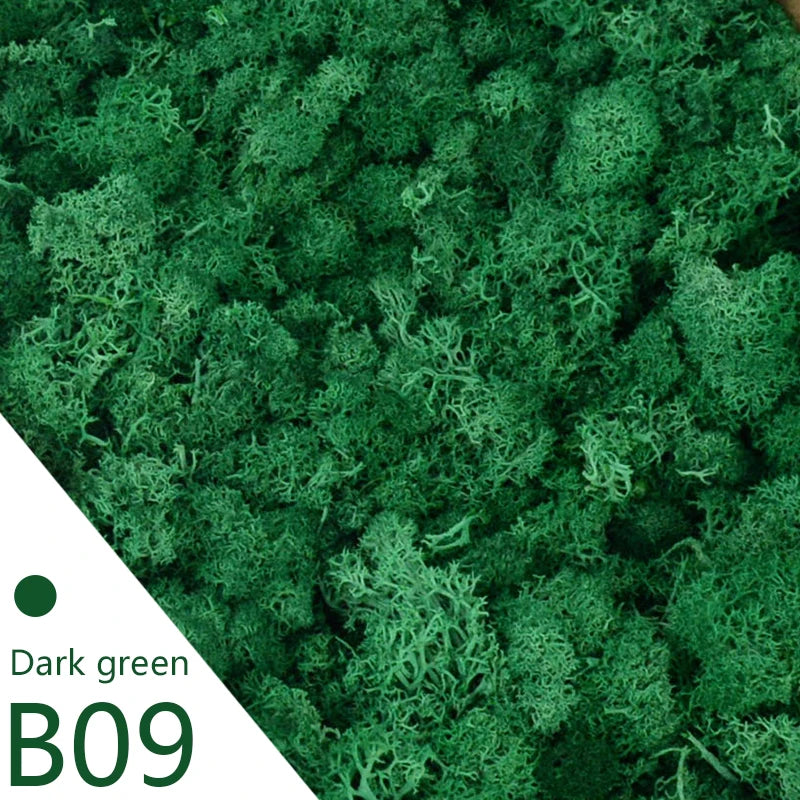 20g 40g Quality Artificial Moss Immortal Moss Simulation Green Plant