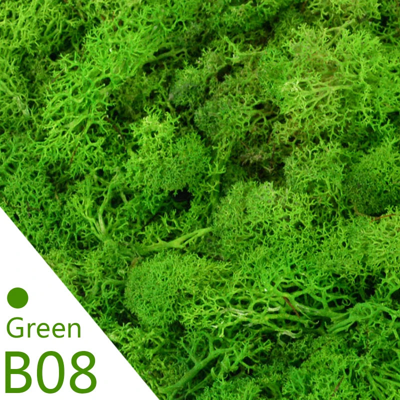 20g 40g Quality Artificial Moss Immortal Moss Simulation Green Plant