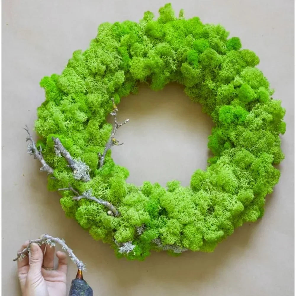 60/300g/Pack Preserved Reindeer Moss Green DIY Kit Gardenning Art Wall Decor