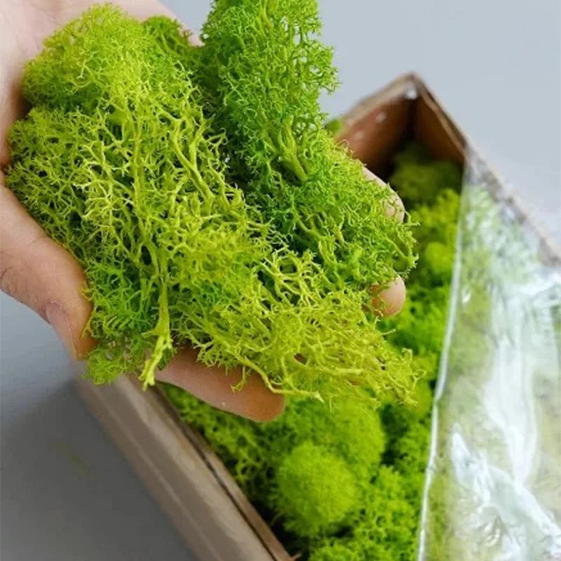 Artificial Green Plants Fake Grass Eternal Life Moss Grassfor Home Living