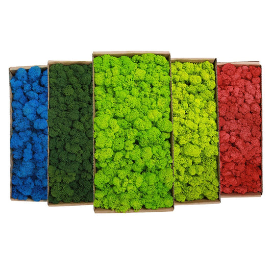 Artificial Green Plants Fake Grass Eternal Life Moss Grassfor Home Living