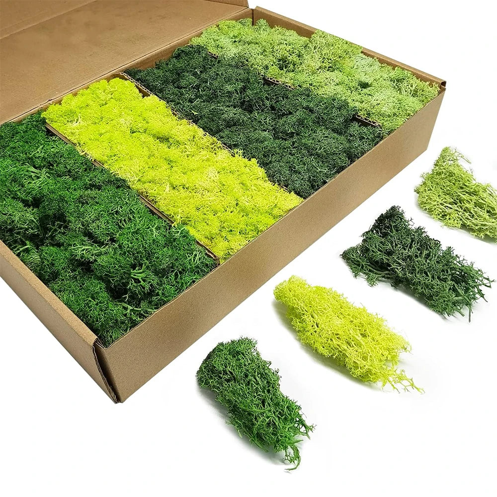 Artificial Green Plants Eternal Life Moss DIY Crafts