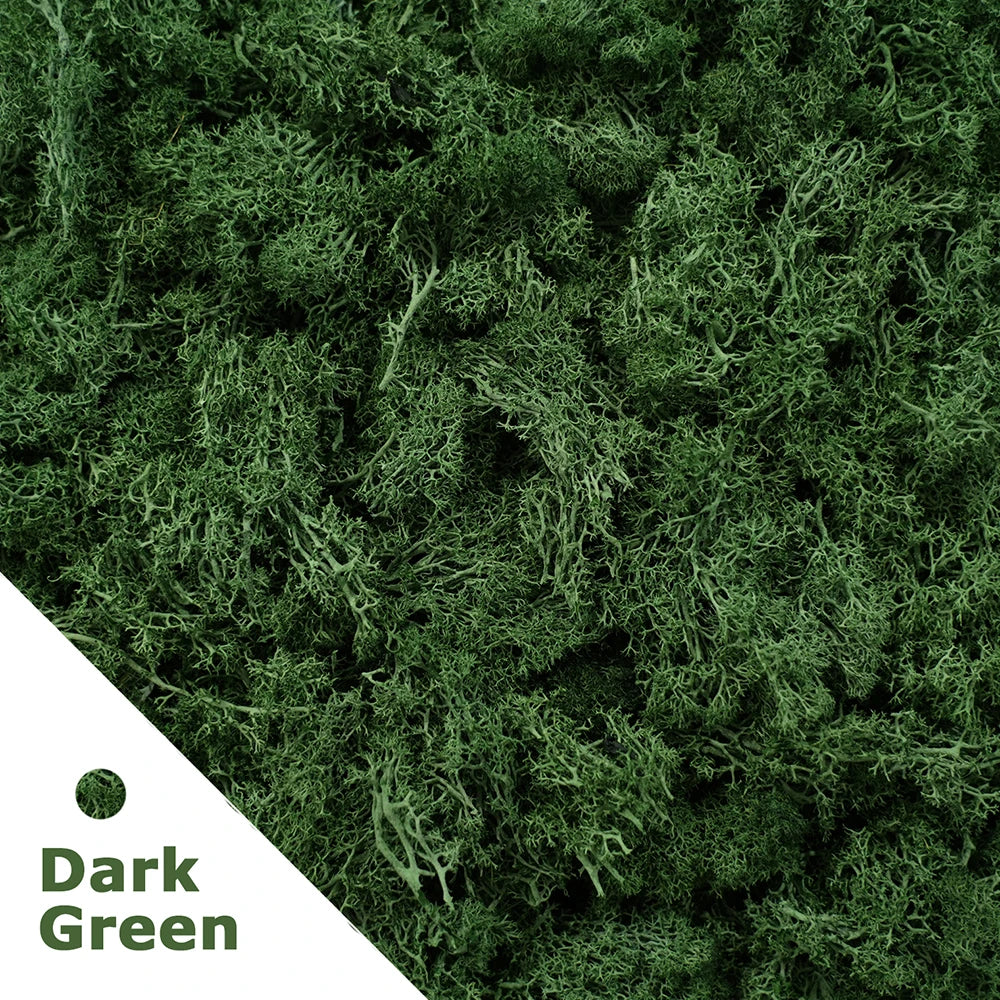 Artificial Green Plants Mini Landscape Eternal Life Moss Grass