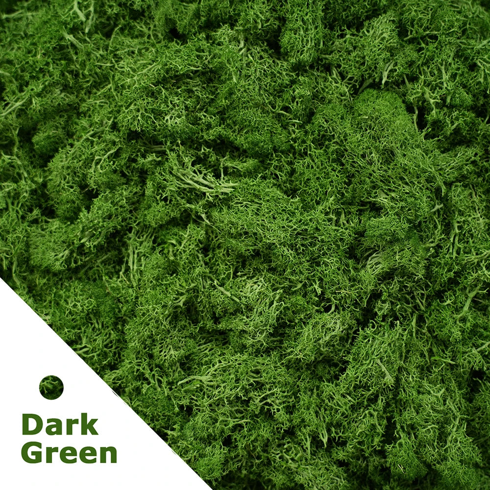Artificial Green Plants Mini Landscape Eternal Life Moss Grass