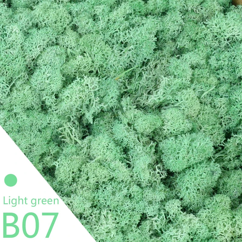 20g 40g Quality Artificial Moss Immortal Moss Simulation Green Plant