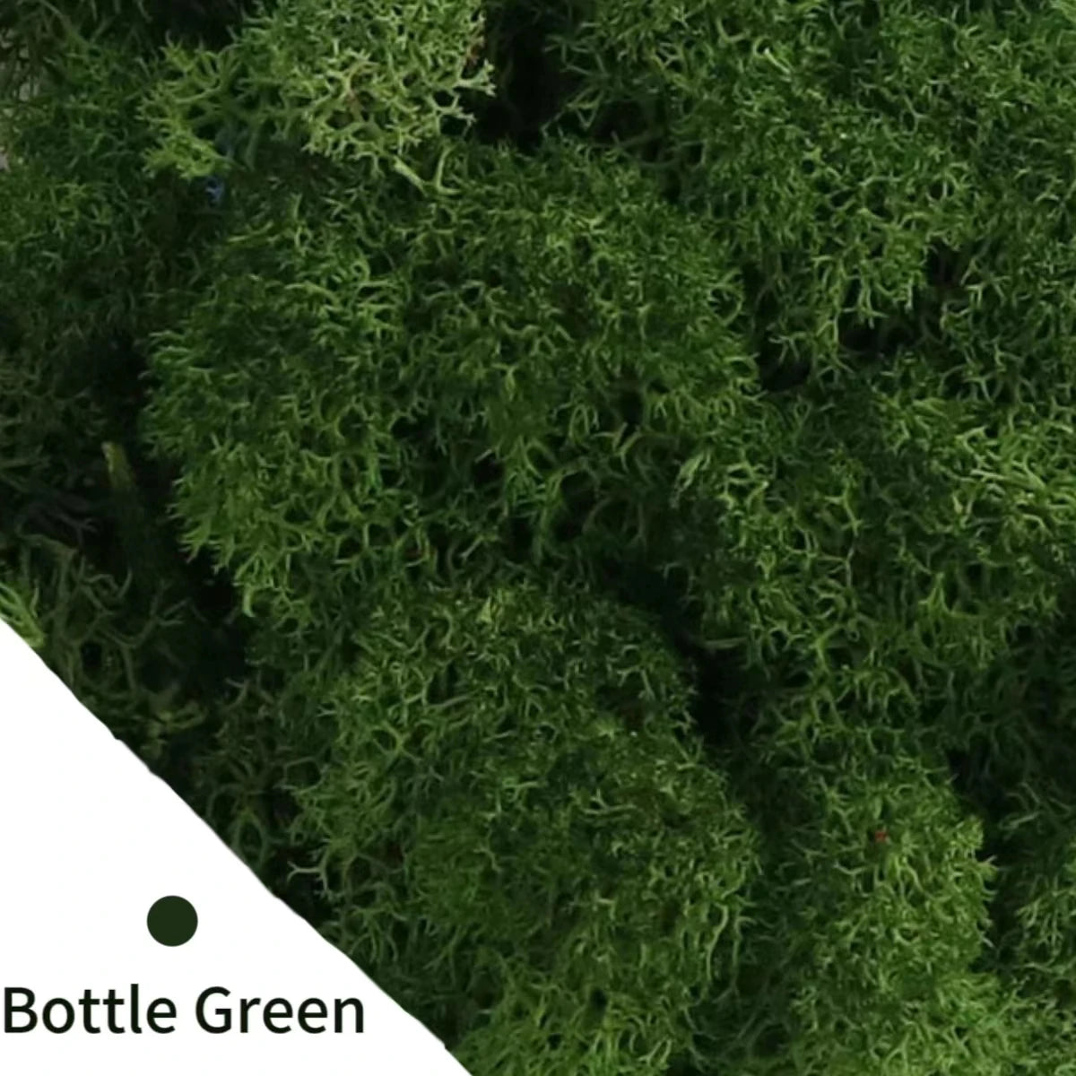 Artificial Green Plants Fake Grass Eternal Life Moss Grassfor Home Living